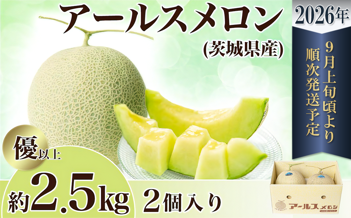 【先行予約】茨城県産アールスメロン約2.5kg（2個）【2026年9月上旬～10月上旬ごろ発送予定】【 国産メロン 茨城県産メロン メロンの王様 高級メロン めろん  果物 くだもの フルーツ 季節限定 人気 贈り物 お取り寄せ プレゼント 厳選 デザート マスクメロン ムスク マスク 】