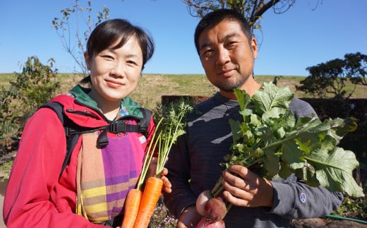 【12ヶ月連続お届け】農園自慢の情熱野菜セット（7品）【 野菜 詰め合わせ お任せ 季節物 定期便 セット 山芋 パセリ わさび菜 ポップコーン かぶ 人参 里芋 たまねぎ 玉ねぎ ルッコラ ほうれん草 春菊 大根 芽キャベツ レタス じゃがいも さつまいも とうもろこし そら豆 枝豆 パクチー ビーツ ほうれん草 キャベツ ピーマン なすトマト かぼちゃ 】