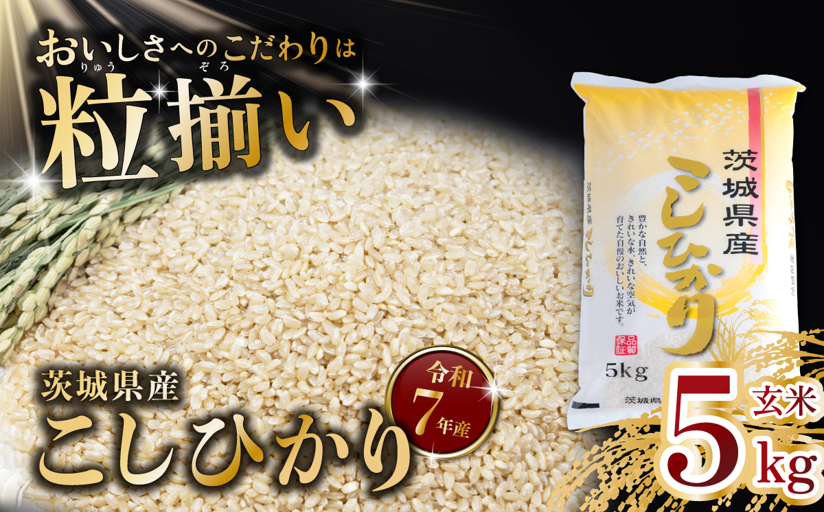 玄米 コシヒカリ 5kg 茨城県下妻市産 【 お米 米 ご飯 こめ コシヒカリ 令和7年産 茨城県産 】