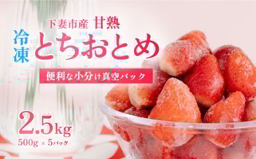 【訳あり】 冷凍いちご 2.5kg (500g x 5) 甘熟 完熟【2026年4月ごろ発送予定】【凍眠冷凍】 Ben‘ｓ Berry 【 いちご イチゴ 苺 とちおとめ 冷凍いちご 便利 甘熟 完熟 甘い ストロベリー 果物 フルーツ 】