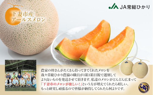 【先行予約】茨城県産アールスメロン「赤」約2.5kg（2個）【2026年9月上旬～10月上旬ごろ発送予定】【 国産メロン 茨城県産メロン メロンの王様 高級メロン めろん  果物 くだもの フルーツ 季節限定 人気 贈り物 お取り寄せ プレゼント 厳選 デザート マスクメロン ムスク マスク 】