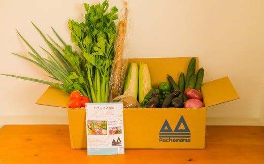 【6ヶ月連続お届け】農園自慢の情熱野菜セット（7品）【 野菜 詰め合わせ お任せ 季節物 定期便 セット 山芋 パセリ わさび菜 ポップコーン かぶ 人参 里芋 たまねぎ 玉ねぎ ルッコラ ほうれん草 春菊 大根 芽キャベツ レタス じゃがいも さつまいも とうもろこし そら豆 枝豆 パクチー ビーツ ほうれん草 キャベツ ピーマン なすトマト かぼちゃ 】