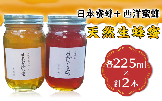 【 先行予約 】天然生蜂蜜 「日本蜜蜂」225ml ＋ 「西洋蜜蜂」 225ml 計450ml セット【 2026年8月上旬から順次発送予定 】【 はちみつ 国産 生はちみつ なま 生蜂蜜 生ハチミツ 天然生蜂蜜 】