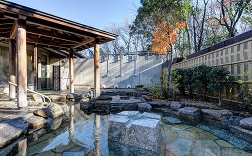 茨城県しもつま温泉「ビアスパークしもつま」温泉入浴券 2枚【 温泉 日帰り湯 チケット 券 利用券 利用チケット ホテル 地ビール 】