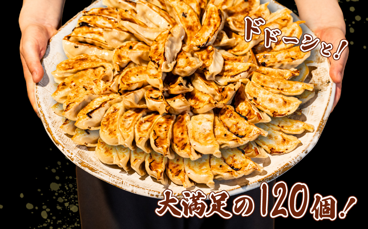 ローズポーク餃子 ドドーンと 120個 ( 冷凍 30個 × 4袋)【 茨城県産  ローズポーク 豚肉 キャベツ 北海道産小麦 春よ来 使用 もちもち ぷりぷり 皮 ギョウザ ギョーザ チャオズ 中華 餃子人気 飲茶 】 