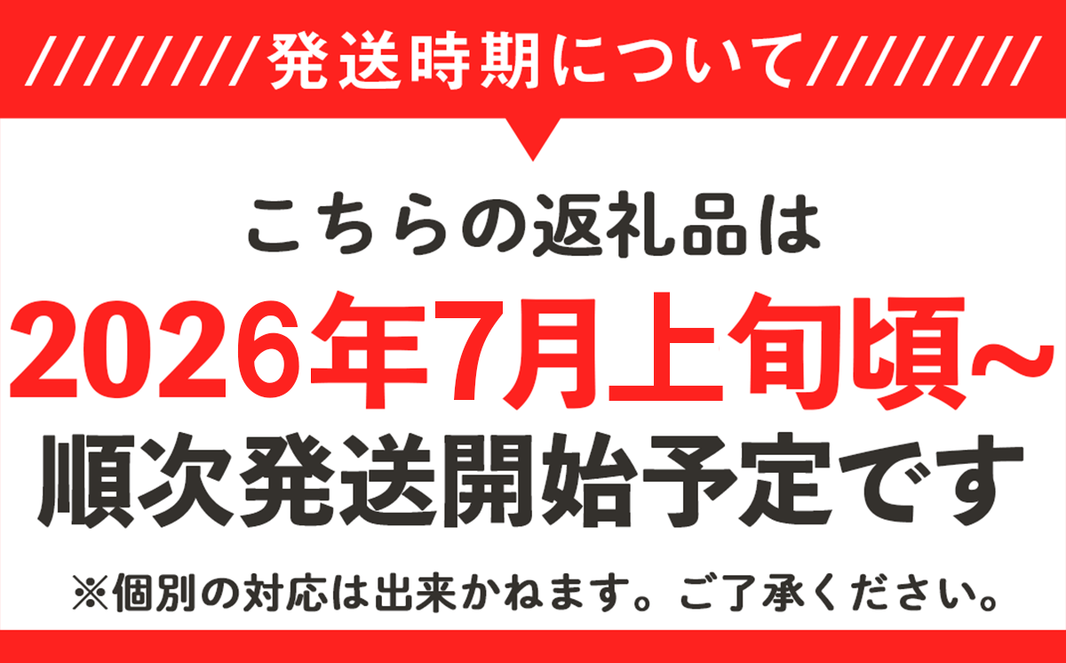 【先行予約】茨城県産黒小玉すいか 3kg（2個）【2026年7月上旬～7月下旬ごろ発送予定】【 スイカ すいか 小玉すいか 小玉スイカ 黒玉スイカ 黒小玉すいか 果物 フルーツ スイカ割り 】