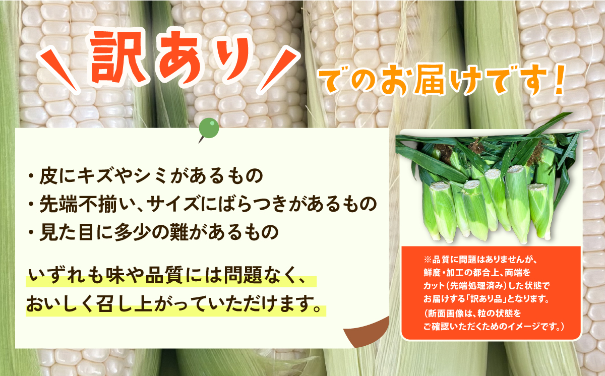 【先行予約】【訳あり】下妻産朝採りとうもろこし（ピュアホワイト）約6kg【2026年6月下旬～7月下旬ころ順次発送予定】【 とうもろこし とうきび トウモロコシ 甘い スイーツ デザート ピュアホワイト コーン 人気 野菜 新鮮 おすすめ 】