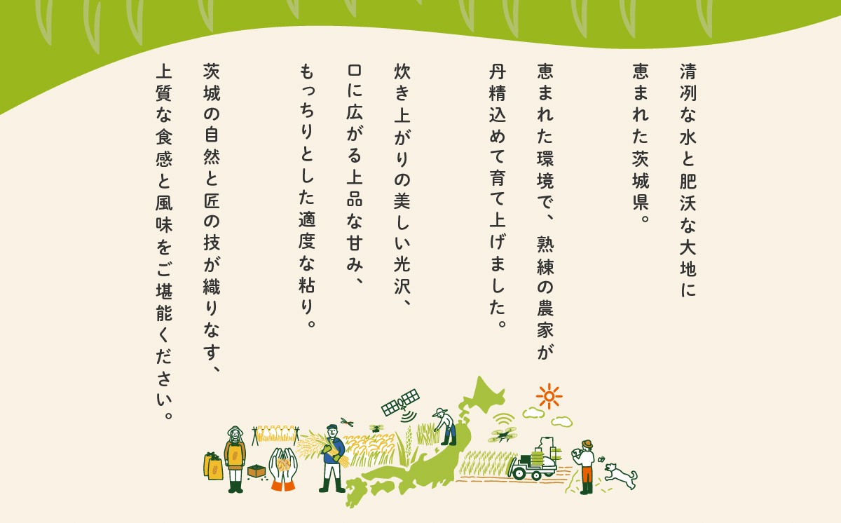 【3月発送】食べ比べ 10kg (5kg x 2袋) 令和7年産 白米 精米 茨城県 下妻市 お米 米