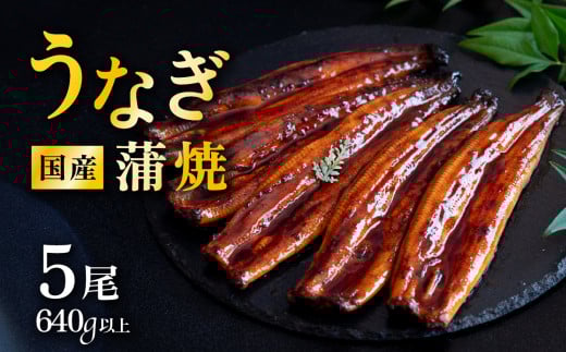 【発送月・容量が選べる！】【06月発送】国産 うなぎ蒲焼 上うなぎ5尾 640g以上 山椒付き 鰻 ウナギ たれ タレ たっぷり うな重 鰻重 ひつまぶし