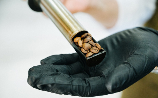 ドリップバッグコーヒー　20個セット【 コーヒー 自家焙煎 焙煎 コーヒー豆 ギフト 手軽 珈琲 おすすめ ドリップバッグ 】