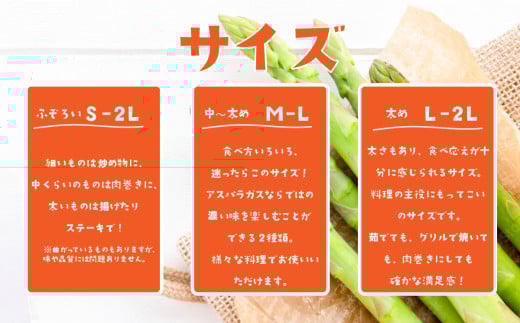 朝採りアスパラガス 1kg M～Lサイズ ハウス栽培 夏芽 26年6月下旬～9月発送 【 先行予約 グリーンアスパラ 野菜 サラダ 農家直送 産地直送 】