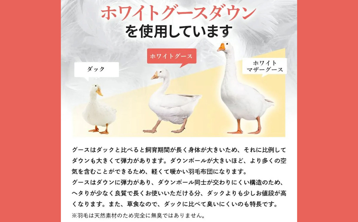 昭和西川 CMD 羽毛掛け布団 ブルー シングルロング ドイツ産グース90％ 380ダウンパワー【 昭和西川 選べる ブルー シングル ロング グース 羽毛掛けふとん 羽毛ふとん 羽毛布団 掛け布団 CMD コンフォート マイスター ダウン 上質 良質 保温 温かい 心地よい 肌ざわり フィット感 ふっくら ポリジン加工 抗菌 防臭 綿100％ 寝具 布団 安心 品質 厳選 眠り おうち時間 リラックス 至極 ライフスタイル 】