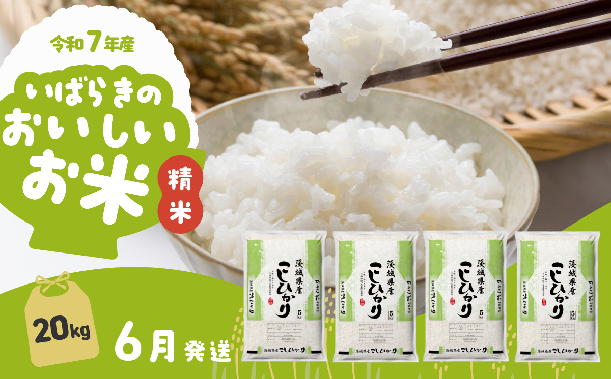 【6月発送】コシヒカリ 20kg (5kg x 4袋) 令和7年産 白米 精米 茨城県 下妻市 お米 米