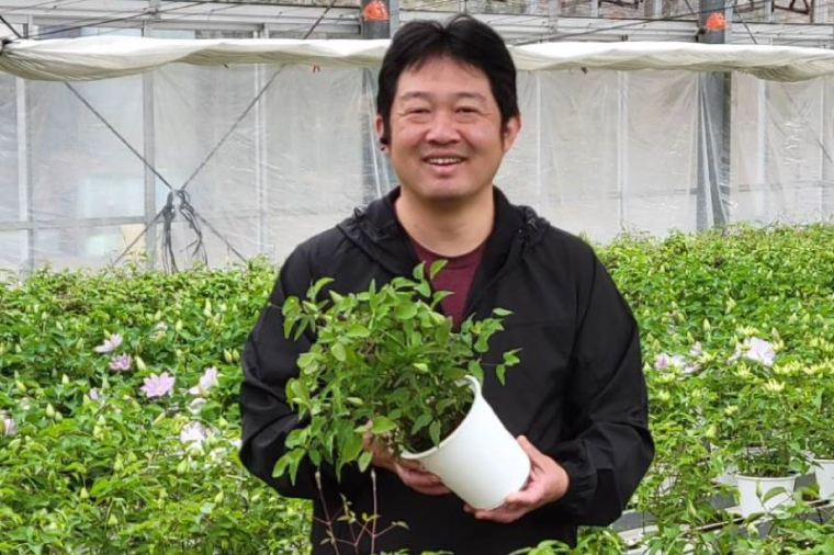 【先行予約】【長谷川園芸】オリジナル クレマチス「華川」〔ベストフラワー賞受賞品種〕５寸【母の日 ギフト プレゼント 贈答 花のある生活】(AT213)