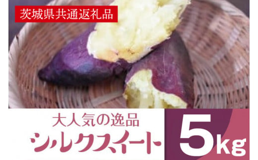 2025年度産 まるで絹のようななめらかなさつまいも シルクスイート5kg【茨城県共通返礼品/行方市】【さつまいも サツマイモ 芋 お芋 甘い なめらか 美味しい 大量 茨城県 北茨城市】(AK203)