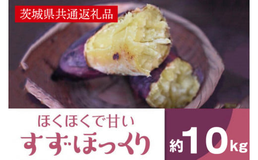 ホクホクで甘いさつまいも すずほっくり10kg（茨城県共通返礼品・行方市産）(AK206)