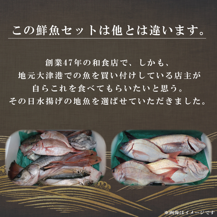 飲食店『食彩太信』店主が選ぶ！大津港地魚鮮魚セット 下処理済み【賞味期限：到着後、冷蔵保存で3日間】【産地直送 新鮮 魚介 平目 ヒラメ 真鯛 鯛 イナダ たら のどぐろ 刺身 魚料理 北茨城市 茨城県】(AA205)