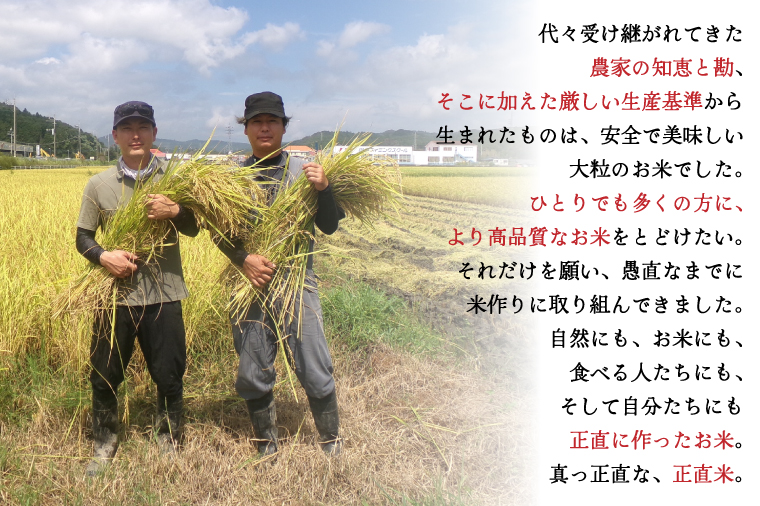 【令和6年産新米】正直米（特秀）2kg 特別栽培米 【おいしい おこめ 米 お米 精米 こしひかり コシヒカリ コンテスト 受賞 五つ星マイスター 5000円以下 特別米 2kg 5kg】(BC001-2)