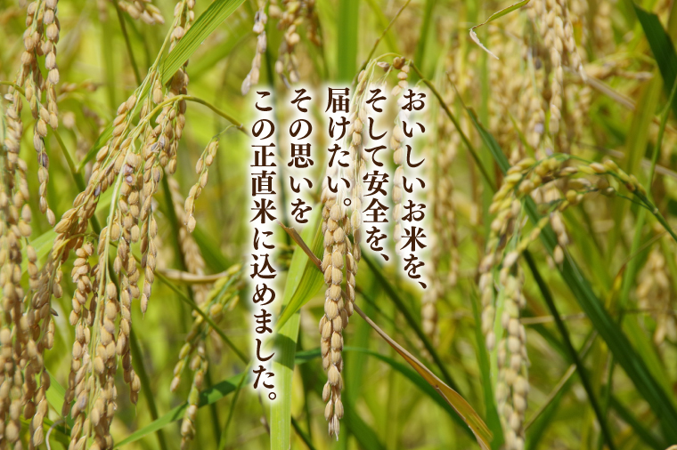 【令和6年産新米】正直米（特秀）2kg 特別栽培米 【おいしい おこめ 米 お米 精米 こしひかり コシヒカリ コンテスト 受賞 五つ星マイスター 5000円以下 特別米 2kg 5kg】(BC001-2)