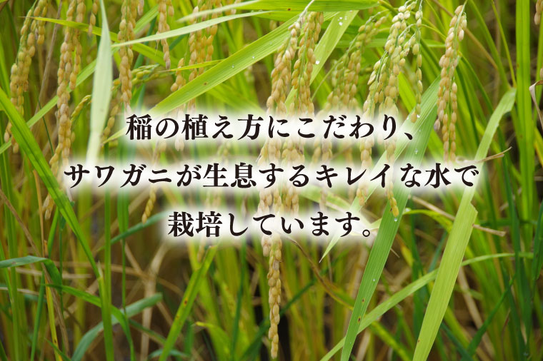 【令和6年産新米】コシヒカリ　2kg【新米　有機栽培　安心　美味しい　おにぎり　5000円以下】(BD001)