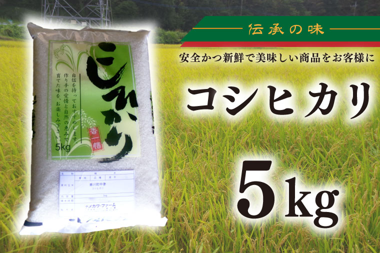 【令和6年産新米】コシヒカリ　5kg【新米　有機栽培　安心　美味しい　おにぎり　10000円以下】(BD002)