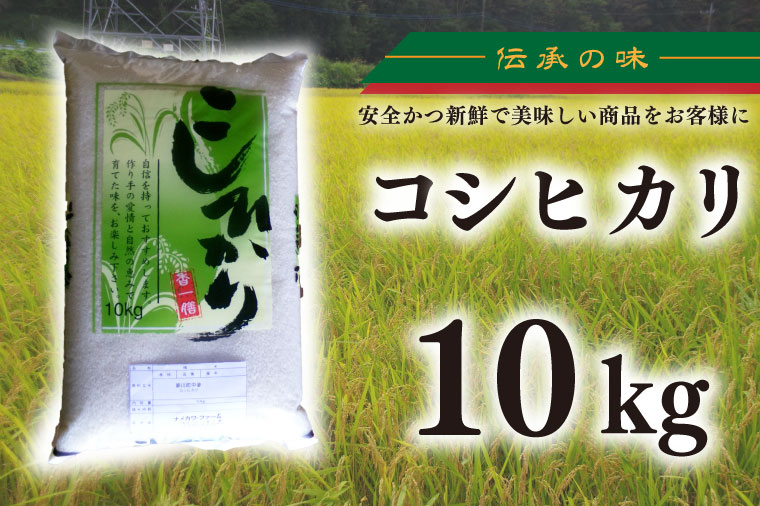 【令和6年産新米】コシヒカリ　10kg【新米　有機栽培　安心　美味しい　おにぎり　20000円以下】(BD003-1)