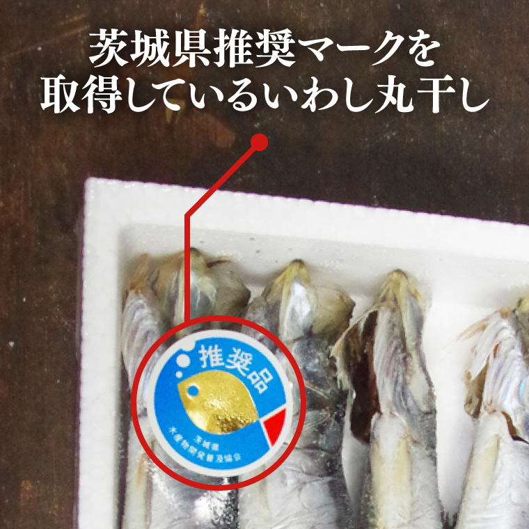 ãããã®äžžå¹²ãïŒïŒå°ŸïŒïŒã»ãã|ã€ã¯ã· é å¹²ãé åè³ é£å æšå¥šããŒã¯ èšåç åèšååžïŒBH009ïŒ