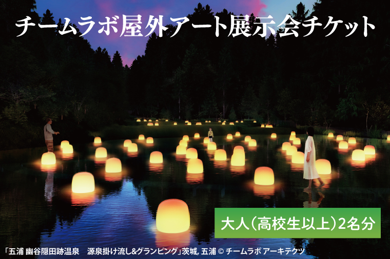 チームラボ屋外アート展示会チケット大人（高校生以上）2名分(CJ106)