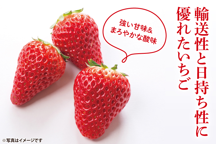 【茨城県共通返礼品/ 行方市産】【2025年1月より順次発送】いちご 「やよいひめ」 約260gパック×4【イチゴ 苺 フルーツ 果物 甘い 】(CS003)