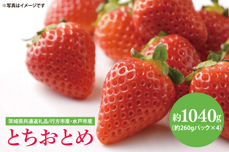 【茨城県共通返礼品/ 行方市産・水戸市産】【2025年1月より順次発送】いちご 「とちおとめ」 約260gパック×4【イチゴ 苺 フルーツ 果物 甘い 大粒】(CS002)