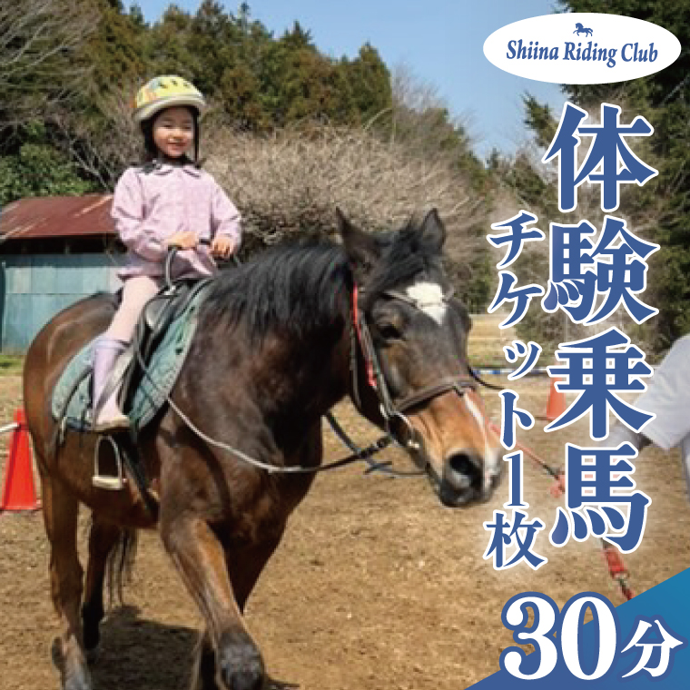 Shiina Riding Club　乗馬体験30分【茨城県 北茨城市 アクティビティ おでかけ レンタル 体験 チケット 馬】（DA001）