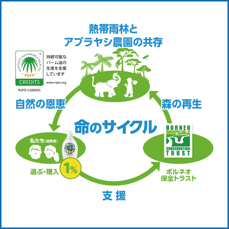 【年3回定期便】ヤシノミ洗剤1000ｍL詰替用　1ケース（8本入）×3回【30970】【サラヤ SARAYA 天然素材 食器 野菜 洗剤 食器用洗剤 ヤシノミ洗剤 食器用 中性洗剤 キッチン洗剤 台所洗剤 無添加 無香料 saraya 茨城県 北茨城市】(CL73)