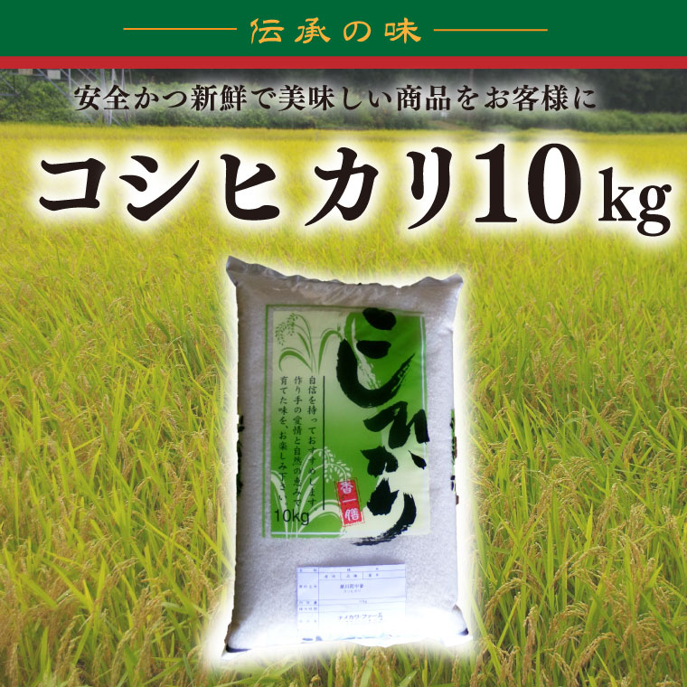 【令和7年産】コシヒカリ　10kg【安心 美味しい お米 おにぎり 茨城県 北茨城市】(BD103)