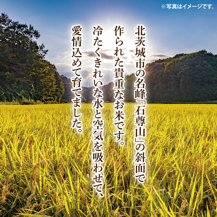 【数量限定】石尊米 3ｋｇ【お米 米 コメ 石尊山 真空パック こしひかり 北茨城市 茨城県】(CV001)