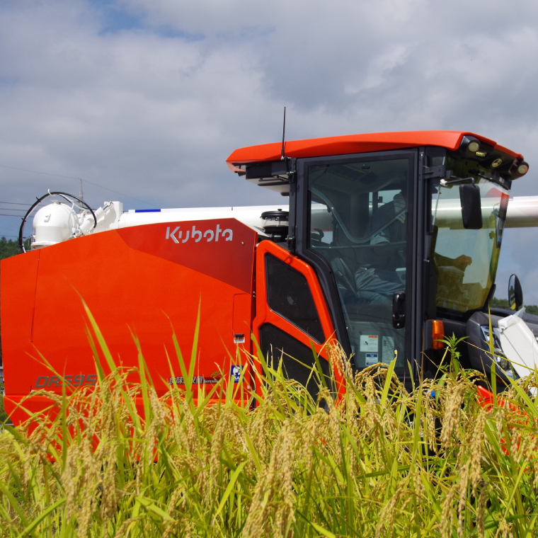 ★五つ星マイスター★【令和7年産】正直米こしひかり（特秀）5kg　特別栽培米 【 米 お米 精米 こしひかり コシヒカリ コンテスト 受賞  特別米  5kg】(BC202)