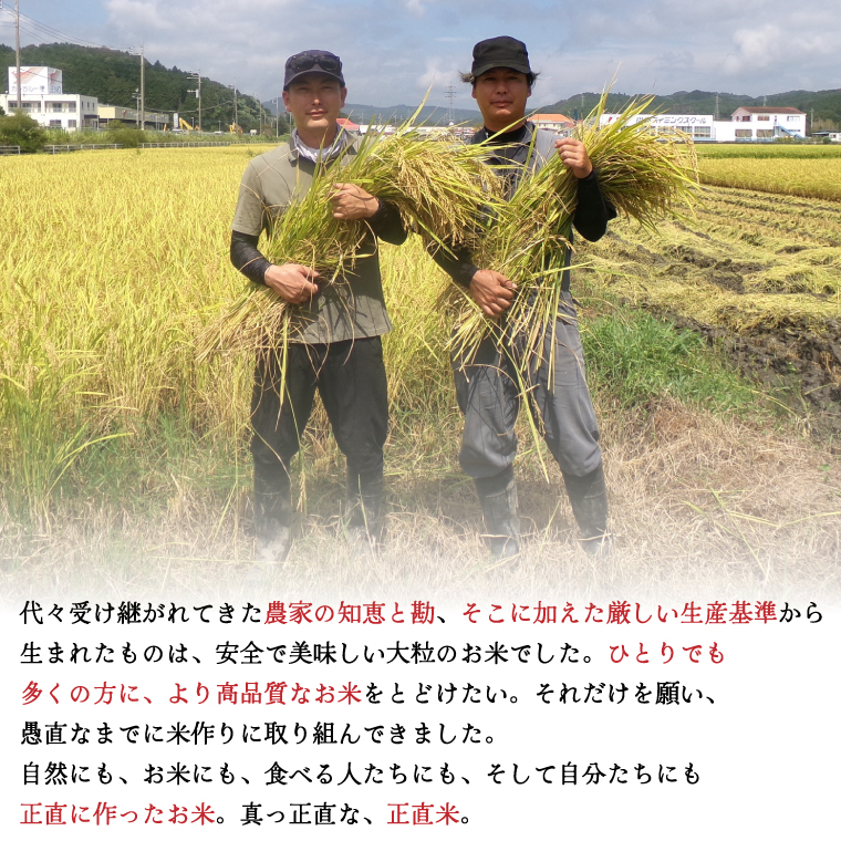 【令和7年産】正直米（特秀）2kg 特別栽培米 【おいしい おこめ 米 お米 精米 こしひかり コシヒカリ コンテスト 受賞 五つ星マイスター 特別米 2kg】(BC201)