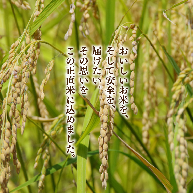 【令和7年産】正直米（特秀）2kg 特別栽培米 【おいしい おこめ 米 お米 精米 こしひかり コシヒカリ コンテスト 受賞 五つ星マイスター 特別米 2kg】(BC201)