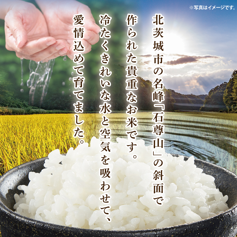 【数量限定】石尊米とお漬物セット【お米 米 コメ 石尊山 真空パック こしひかり 漬物 たくあん シャクシナ 野菜 ご飯 北茨城市 茨城県】(CV002)