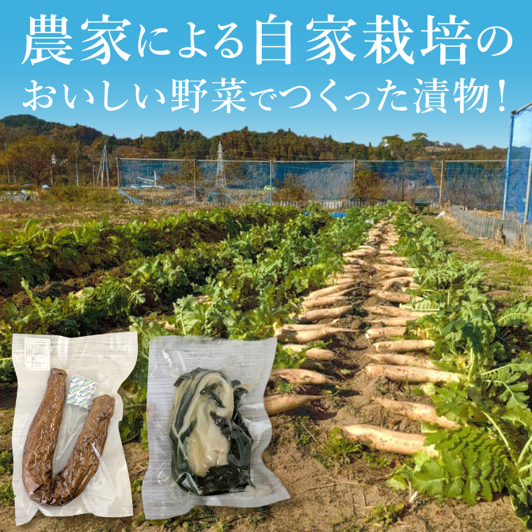 【数量限定】石尊米とお漬物セット【お米 米 コメ 石尊山 真空パック こしひかり 漬物 たくあん シャクシナ 野菜 ご飯 北茨城市 茨城県】(CV002)