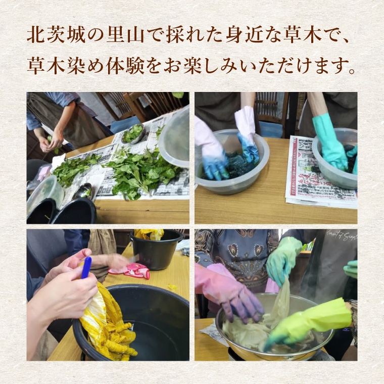 【手ぶらで参加】里山の草木染め体験【体験 染物 自然 チケット 工房 北茨城市 茨城県】(DJ001)