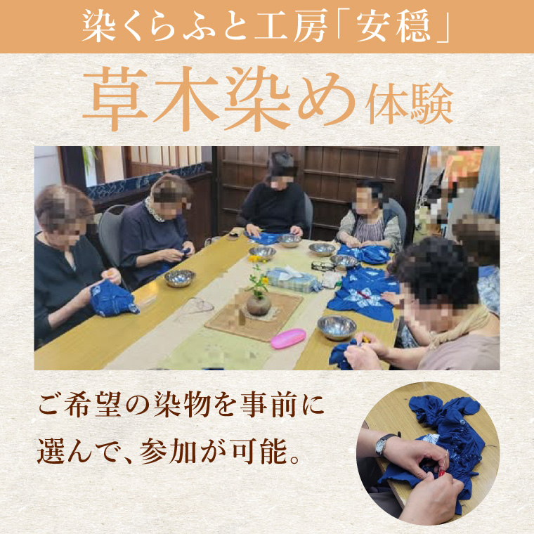 【染物選択・持ち込み可】里山の草木染め体験【体験 染物 持ち込み 自然 チケット 工房 北茨城市 茨城県】(DJ002)