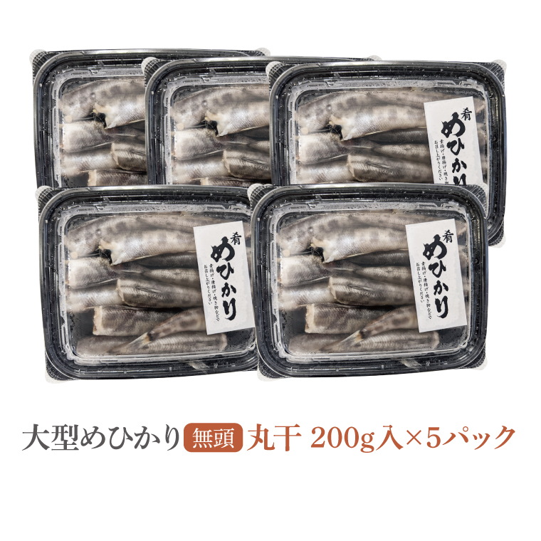 めひかり丸干5個セット【メヒカリ 海鮮 鮮魚 白身魚】(BH204)