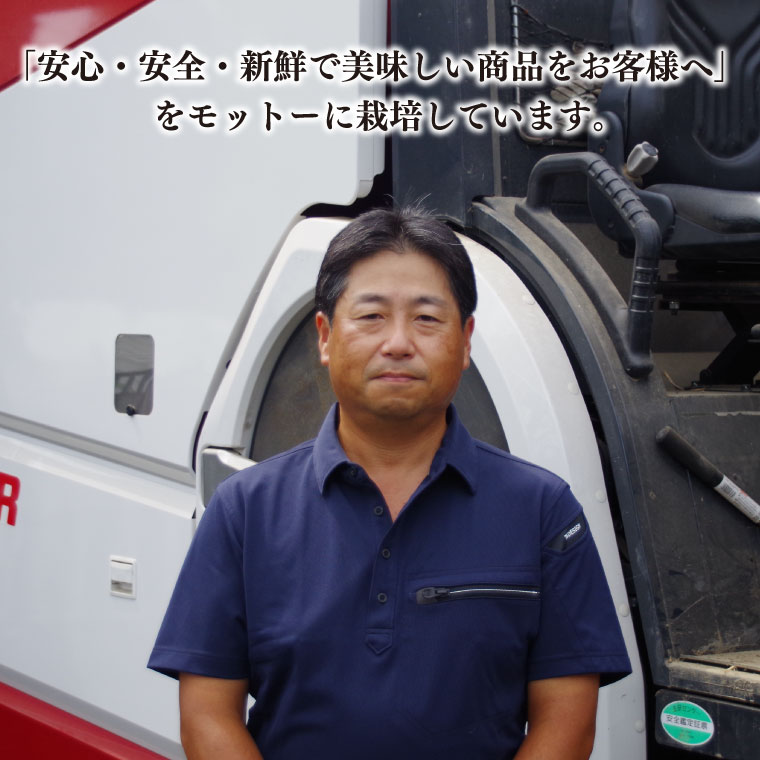 【令和7年産】コシヒカリ　10kg【安心 美味しい お米 おにぎり 茨城県 北茨城市】(BD103)