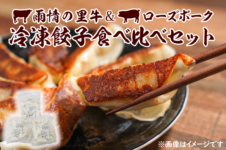 雨情の里牛・ローズポーク餃子セット【国産 ブランド牛 ぎょうざ ギョウザ 食べ比べ】(BL208)