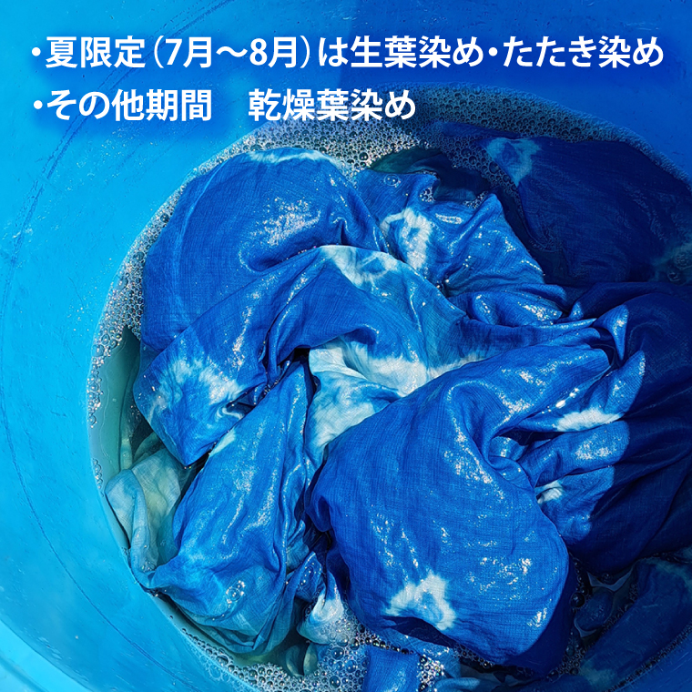 藍染体験(BQ101)