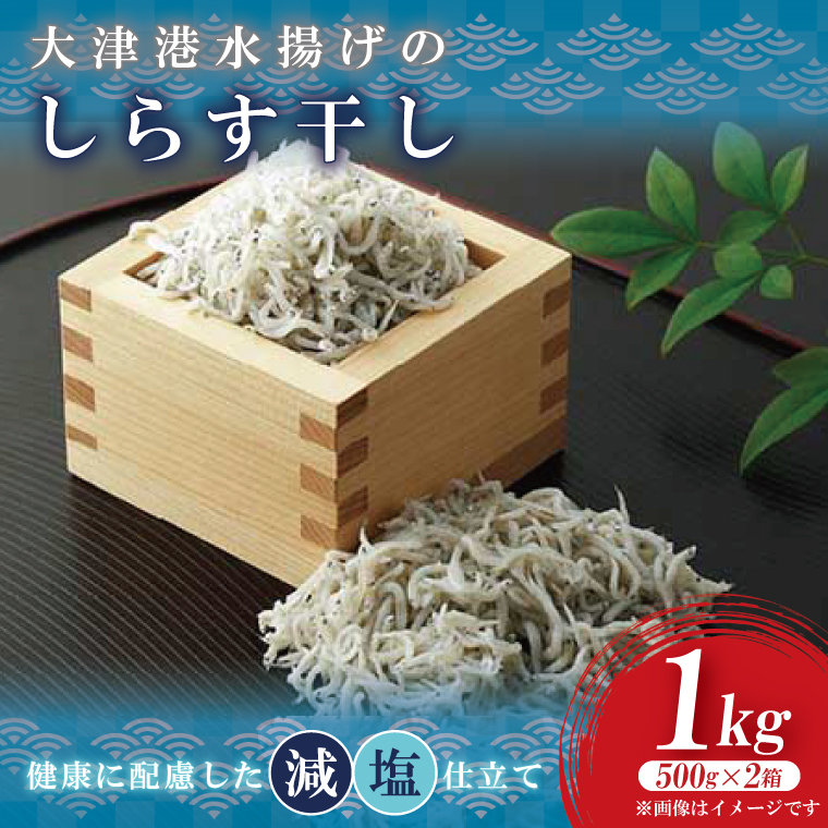 大津港水揚げのしらす干し　1kg(500ｇx２箱)【シラス しらす丼 冷凍 新鮮 海鮮 魚介類  減塩 ご飯のお供 小分け 個包装 冷凍保存 カルシウム 北茨城市 茨城県】（AS206）