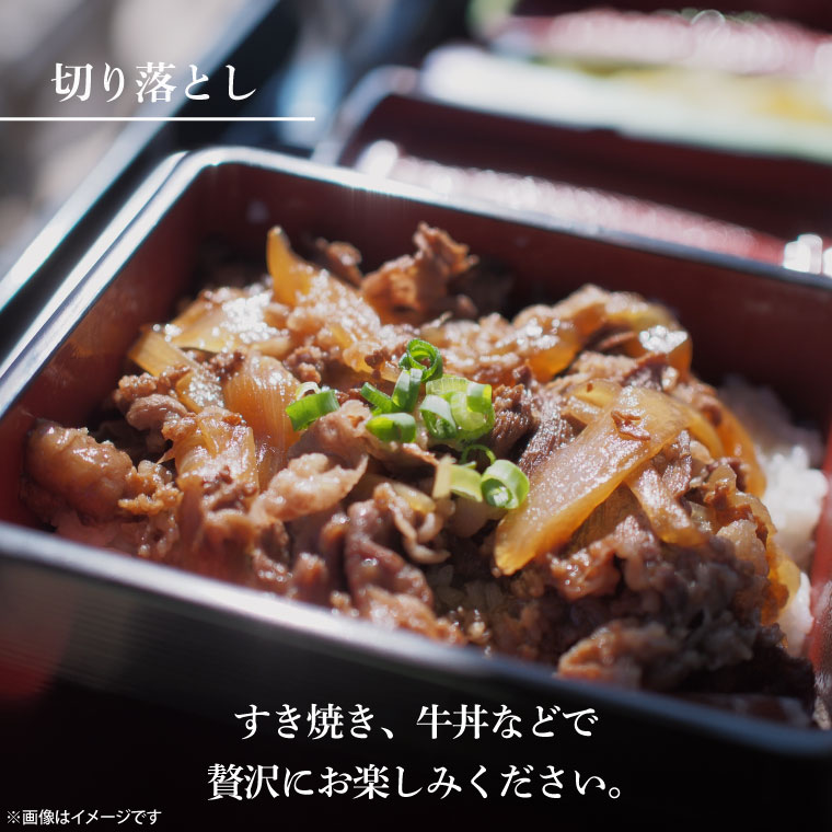 【2027年1月発送予定】最高級A4.A5ランク 常陸牛 切り落し 1kg（約500ｇ×2）【人気肉 お肉 牛肉 和牛 黒毛和牛 国産黒毛和牛 モモ 肩 切り落とし 国産牛 A5 A4 すき焼き 牛丼 ブランド牛】(CR106-1)