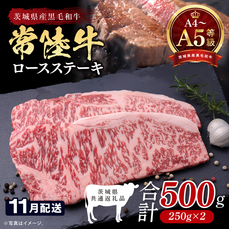 【2026年11月発送予定】最高級A4.A5ランク 常陸牛ロースステーキ500ｇ（250ｇ×2）【人気肉 お肉 牛肉 和牛 黒毛和牛 国産黒毛和牛 ロース肉 ステーキ 国産牛 焼肉 焼き肉 バーベキュー BBQ A5 ブランド牛】(CR101-11)