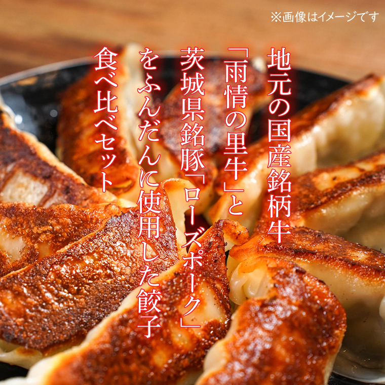 雨情の里牛・ローズポーク餃子セット【国産 ブランド牛 ぎょうざ ギョウザ 食べ比べ】(BL208)