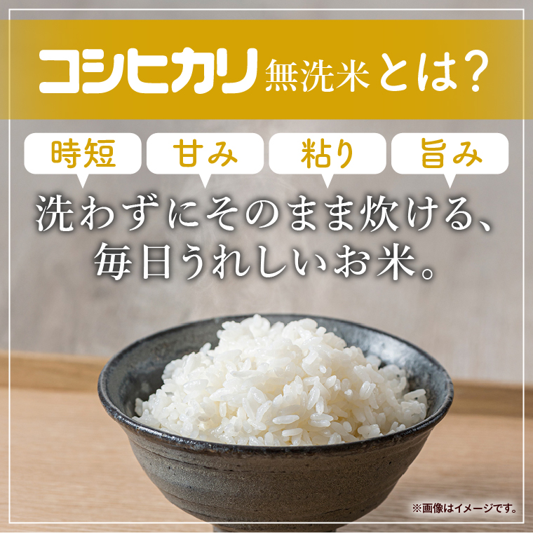 令和7年産 茨城県産 無洗米コシヒカリ5kg【お米 米 コメ こめ こしひかり 無洗米 北茨城市 茨城県】(AL256)